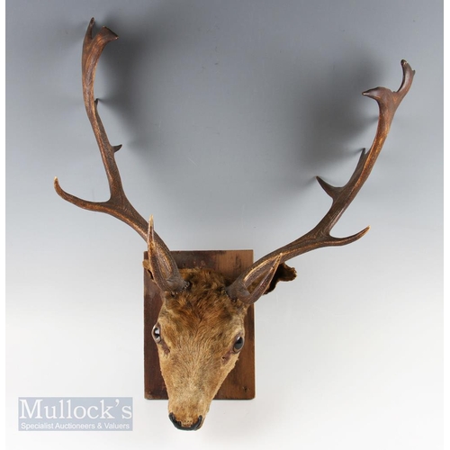 Lot 83a       
