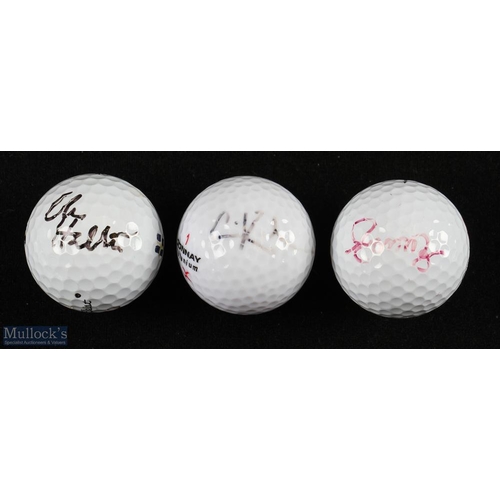 154 - Collection of Swedish LPGA, European, Asia Tour Winners signed golf balls (3) Carin Koch 10 tour win... 