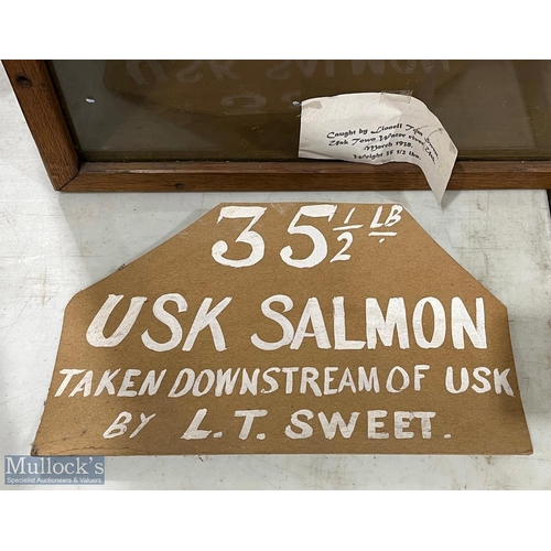 293 - Lionel Sweet of Usk large painted 35.5lb Salmon caught in March 1938 downstream of Usk, housed in a ... 