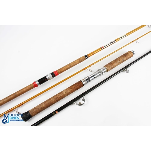 Abu Atlantic 443 Zoom spinning rod 9' 2pc, 30-60g CW, 28