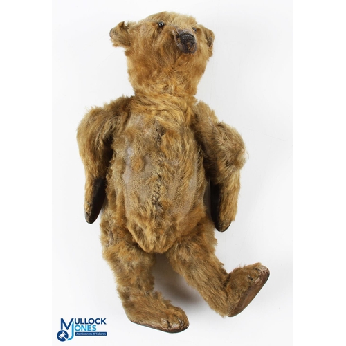 253 - 1906-1920 Early 13 Steiff Golden Brown Mohair Bear, with button eyes, voice box inoperable, the body... 