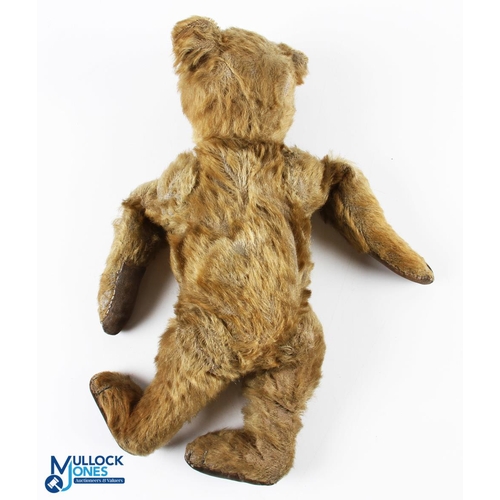 253 - 1906-1920 Early 13 Steiff Golden Brown Mohair Bear, with button eyes, voice box inoperable, the body... 