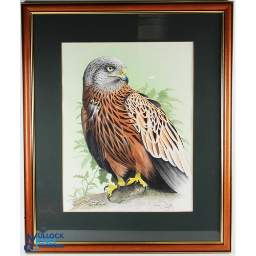 488 - Diarmid 'Dee' Doody Watercolour Painting of a Red Kite standing on a branch with leaves and green wa... 