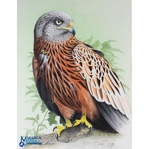 488 - Diarmid 'Dee' Doody Watercolour Painting of a Red Kite standing on a branch with leaves and green wa... 