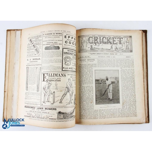 571 - Cricket 1895 - 12 monthly editions each with 16 pages and illustrated with photographs and text exte... 