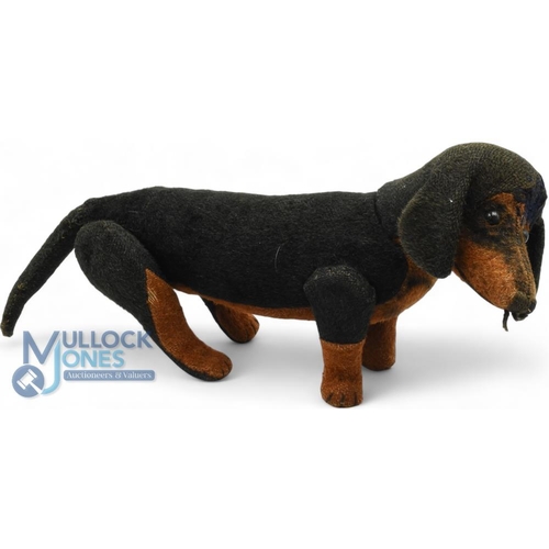 100 - Circa 1905-1910, an early Steiff black and brown Dachshund. with black eyes, stitched nose and swive... 