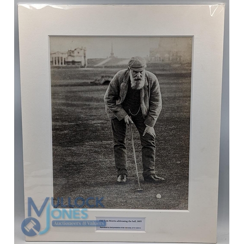 498b - Old Tom Morris addressing the ball c1905 - a reproduction photograph by kind permission of St Andrew... 