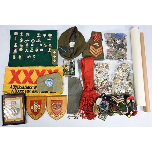 251 - Military Badges Collection of Staybright and Brass examples, 2 Military shields 16/5th Queens Royal ... 