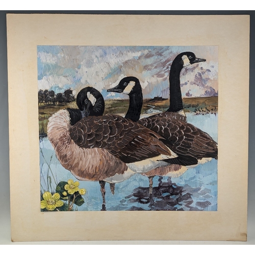 377 - 1969 T J Davies Canadian Geese watercolour painting, a good-looking watercolour mounted on card - si... 