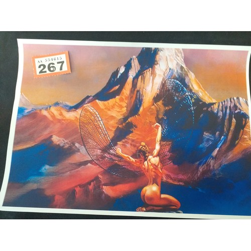 Lot 267       