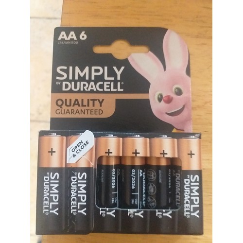 31 - AA6 Duracell batteries