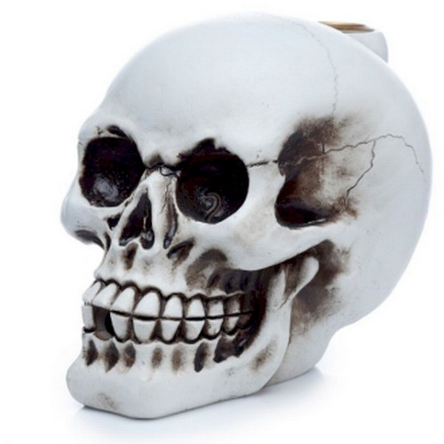 1C - Skull Incense Burner
11x9x15 (cm), 1.485L, 0.281Kg/L