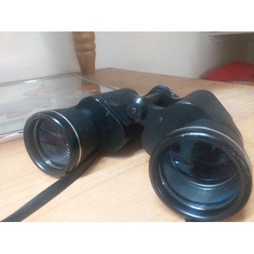 256 - Vintage binoculars with case