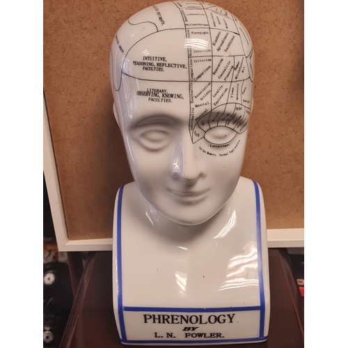 07A - Large phrenology head