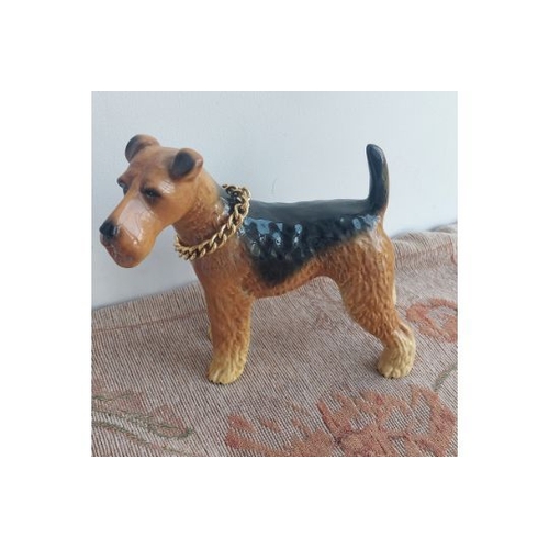 234 - Large airedale terrier