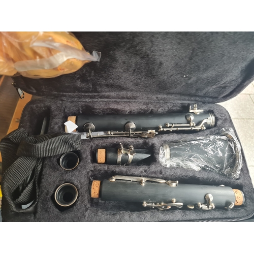 03B - Clarinet cased