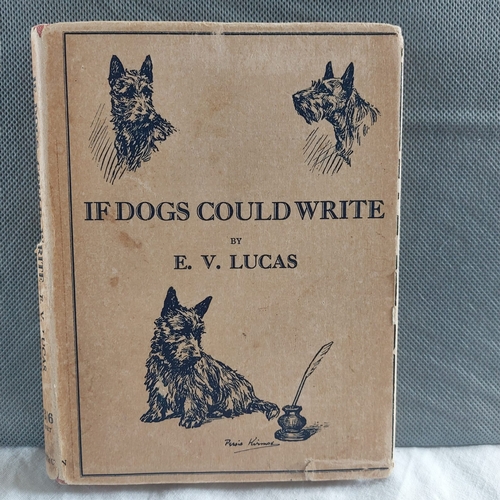 006A - If dogs could write