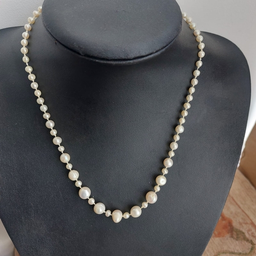 11F - A handmade pearl necklace from SILVERPICKLE made by B THOMSON approx 48cm long. Magnetic clasp.