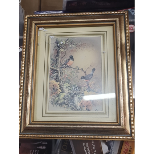 Lot 08D       