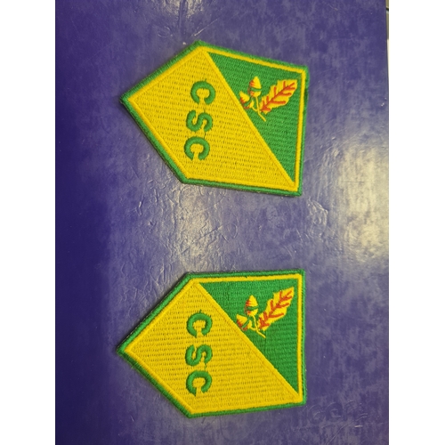 6A - Irish military badges