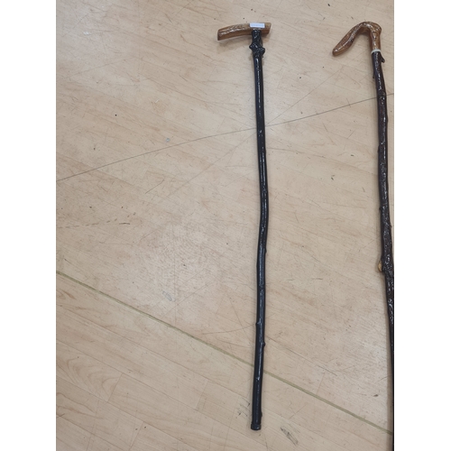 8A - Vintage blackthorn walking stick