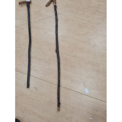 9A - Vintage walking stick