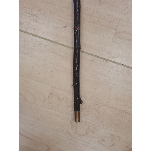 9A - Vintage walking stick