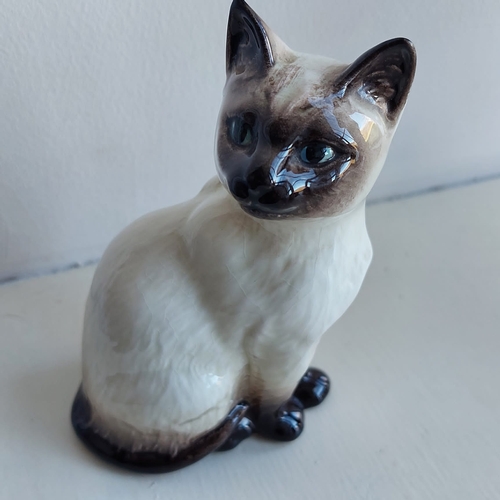 12D - Small beswick cat