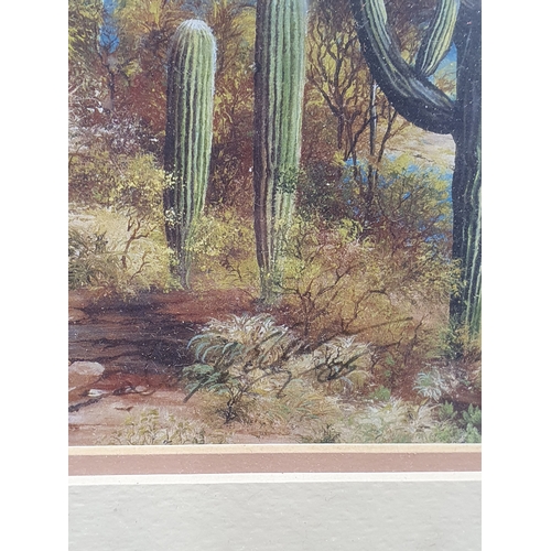 576 - Desert Themed Framed Picture