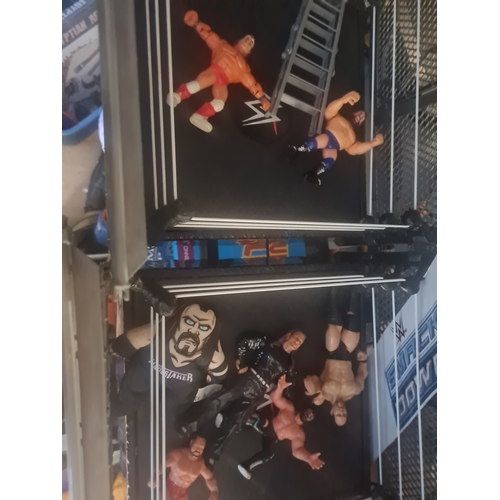 04B - Large wrestling ring with wrestlers