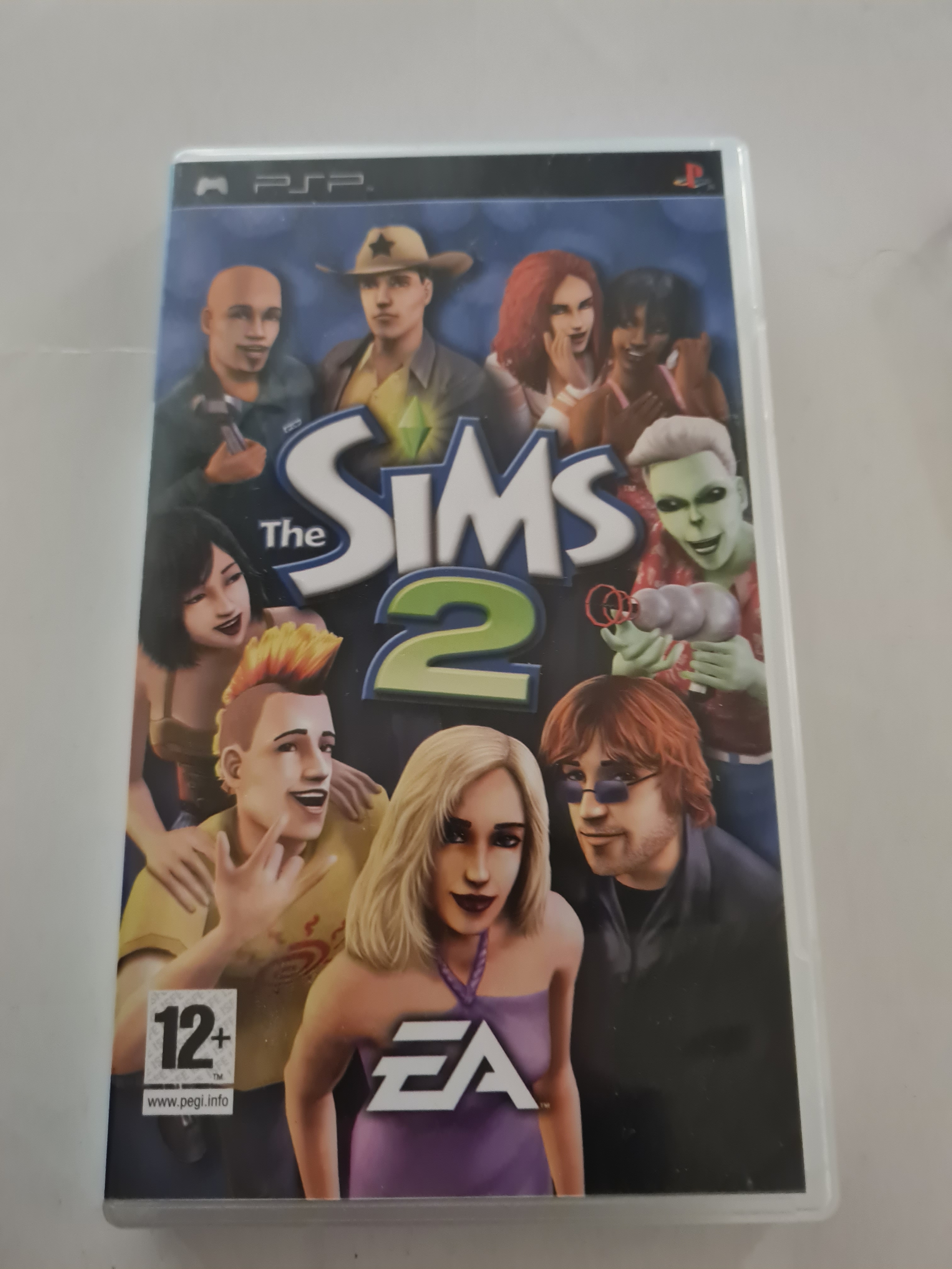 Psp game sims