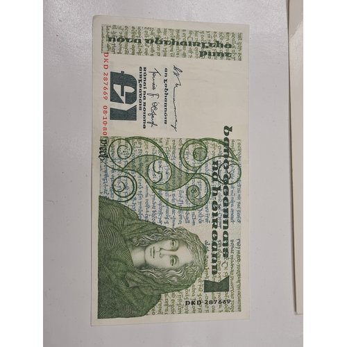 2B - Vintage irish £1 note