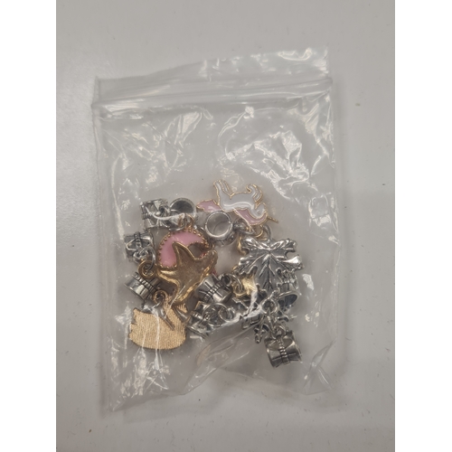 62 - Joblot of new charms