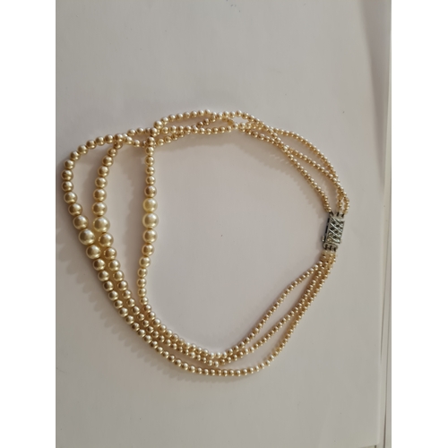 Lot 067Q      