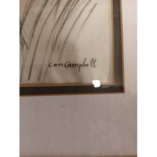 41 - Con campbell picture pencil on paper