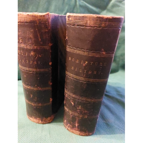 280 - Tallis scripture history for the improvement of youth. 2 volumes 1851