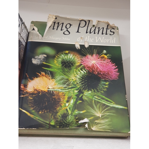 650 - Living Plants Of The World Large Book