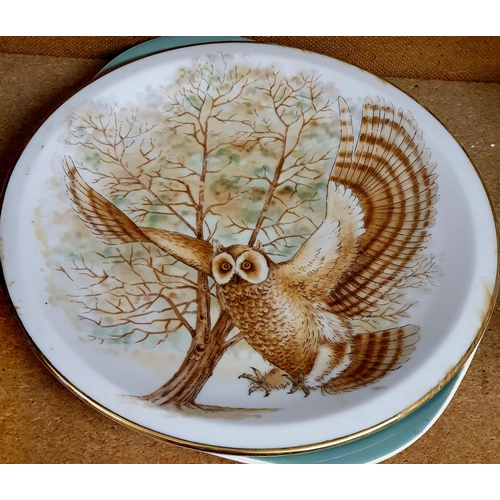 668 - Beautiful Leonardo Collection Owl Plate