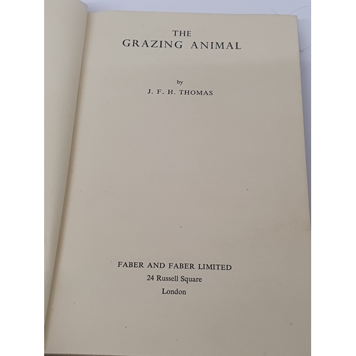 22X - Vintage Hardback Book  The Grazing Animal