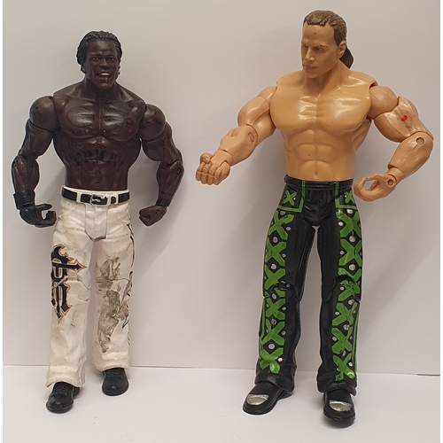 12U - 2 WWF/WWE Wrestling Figures