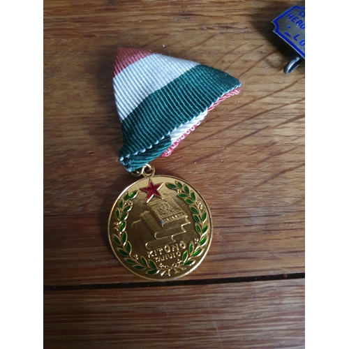 54 - Vintage Hungarian medal