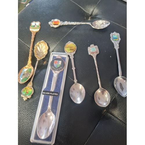 91 - Collection of collecters spoons