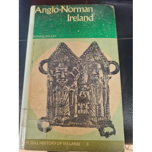 111B - Anglo norman ireland