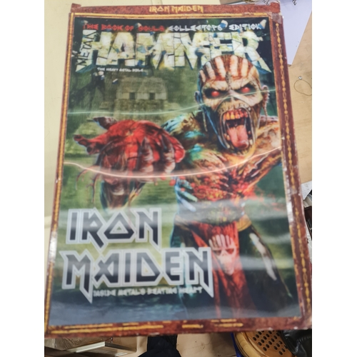 73D - Iron madien cover