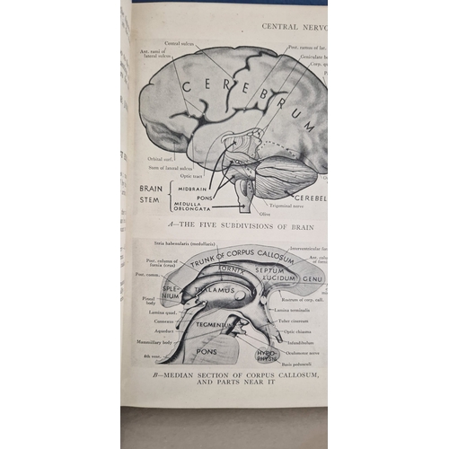 08A - Illustrations of regional anatomy parts I & ii 1942 3rd edition