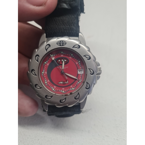 46I - Rare shark tooth animal watch pwo

Strap needs repaired