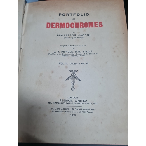 376 - Portfolio of dermochromes