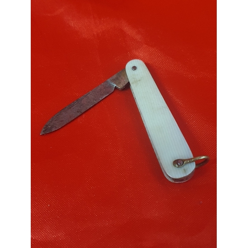 441 - Vintage pocket knife