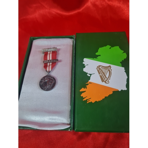 676 - Irish medal