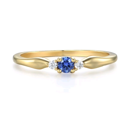 638 - 9ct Gold on Solid 925 Silver Sterling Tanzanite & White Sapphire Ring